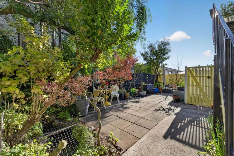 2/31a Huntsbury Avenue Huntsbury_23