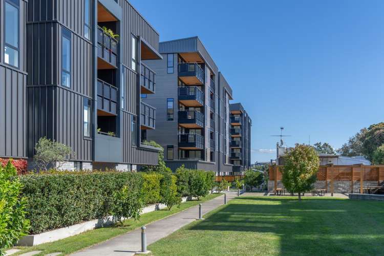 3/11 Spring Street Onehunga_16