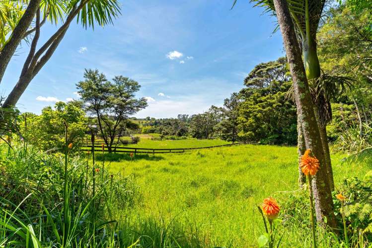 260 School Road Waimauku_27