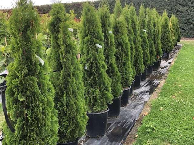 Address withheld Addington_2