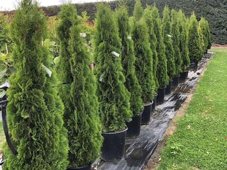 Address withheld Addington_2