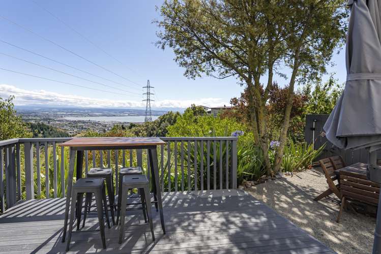 180 Panorama Drive Enner Glynn_15