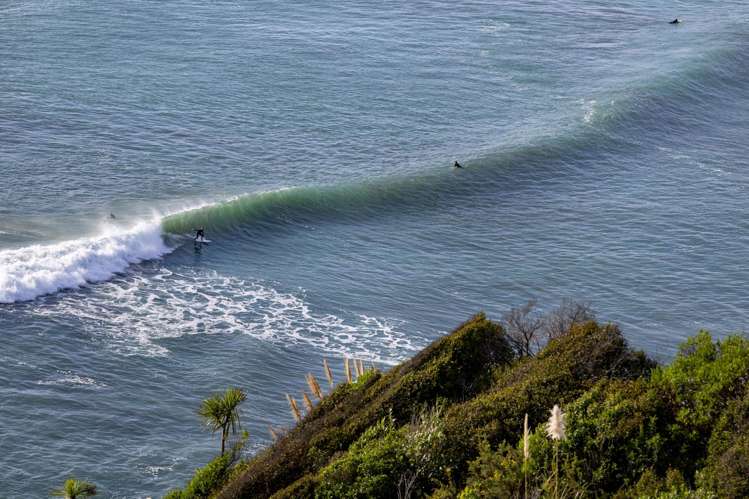 10 Earles Place Raglan_16