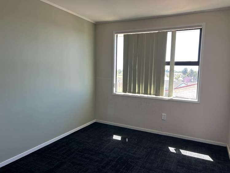 Matthews Road Flat Bush_17