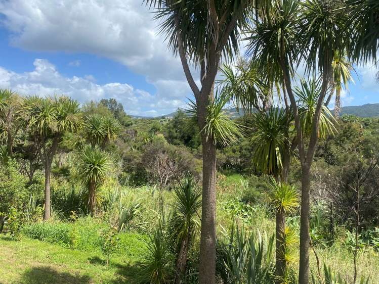 32b Jack Boyd Drive Mangawhai Heads_6