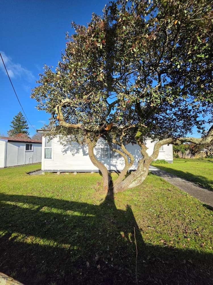 1 Baberton Street Tokoroa_7