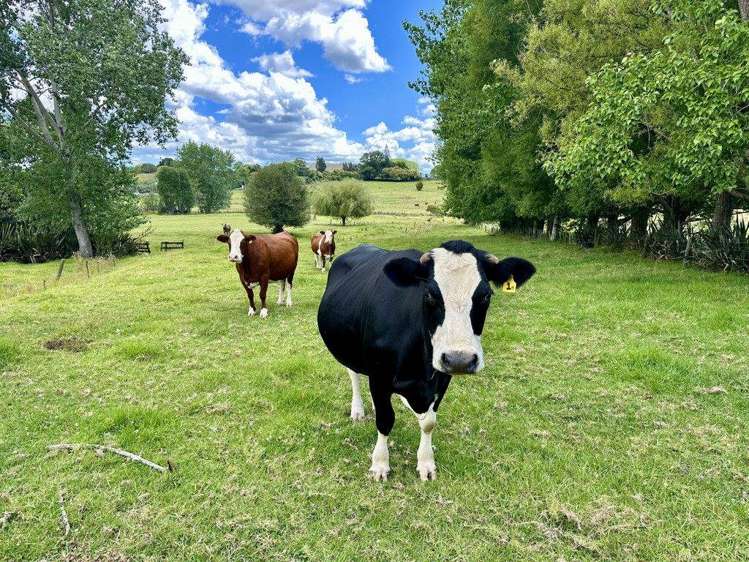 6760 State Highway 1 Pakaraka_21