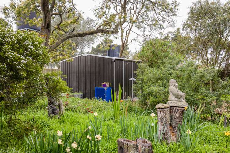 12 Holton Road Amberley_14