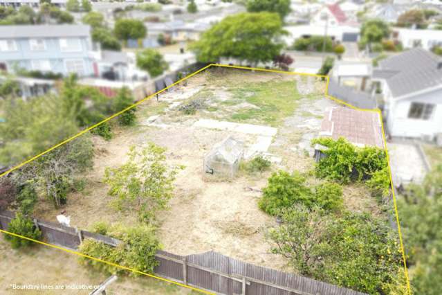 Build, Invest or Land Bank