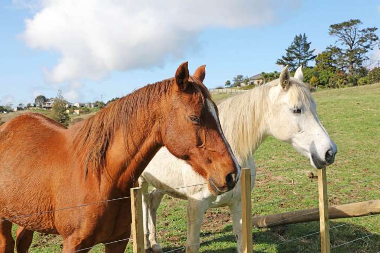 Lot 1/1739 Ponga Road Hunua_9