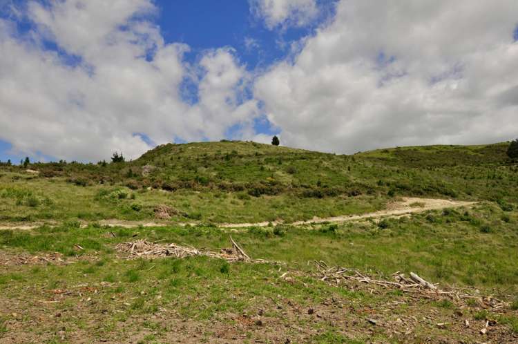 Lot 1 Gaudion Road, Peebles Oamaru_6