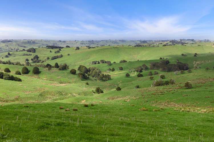 895 Wairamarama Onewhero Road Onewhero_16