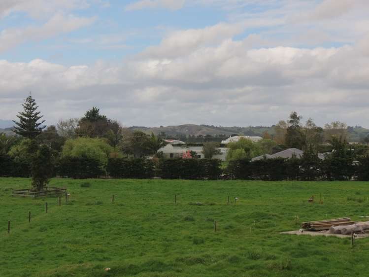 Colville Road Dargaville_2