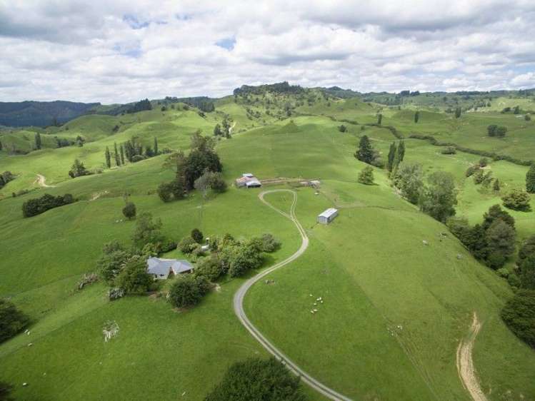 1815 Mokauiti Road Aria_5