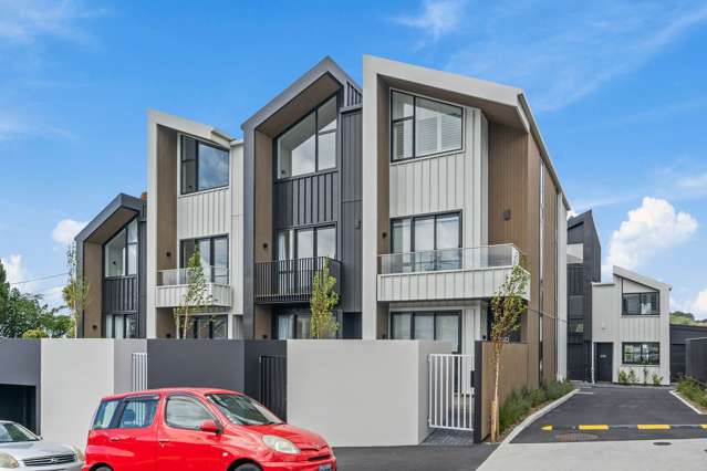 Brand new, sunny townhouse in Mount Cook!