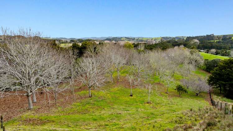 50 Waitoki Road Waitoki_14