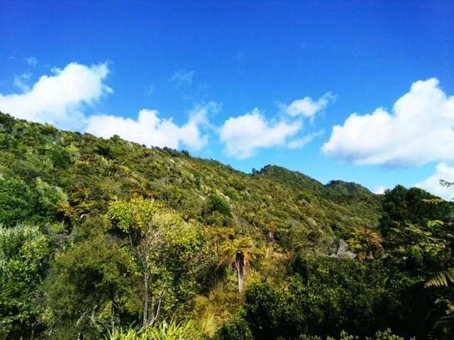 5700 State Highway 6 Fox River_3