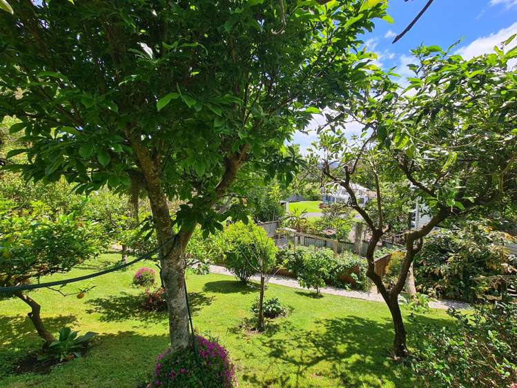 1225 Rings Road Coromandel_8