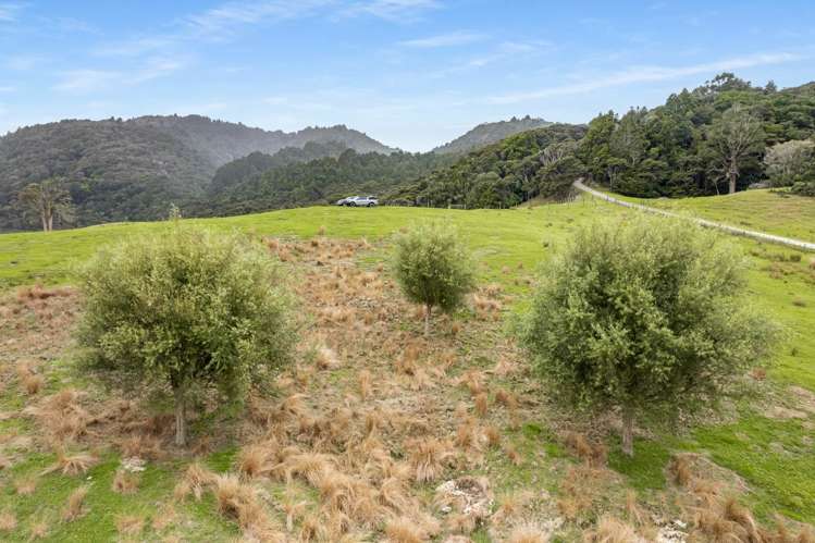 Lot 4 354 Mountain Road Maungaturoto_13