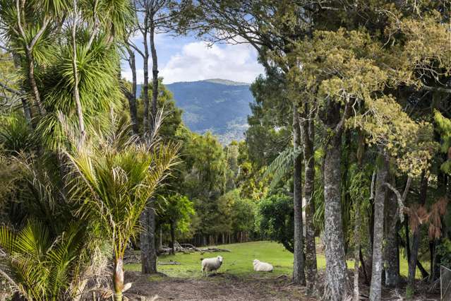 429 Wairere Road Waitakere_2