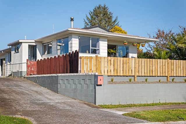 3 Airedale Place Waitara_1