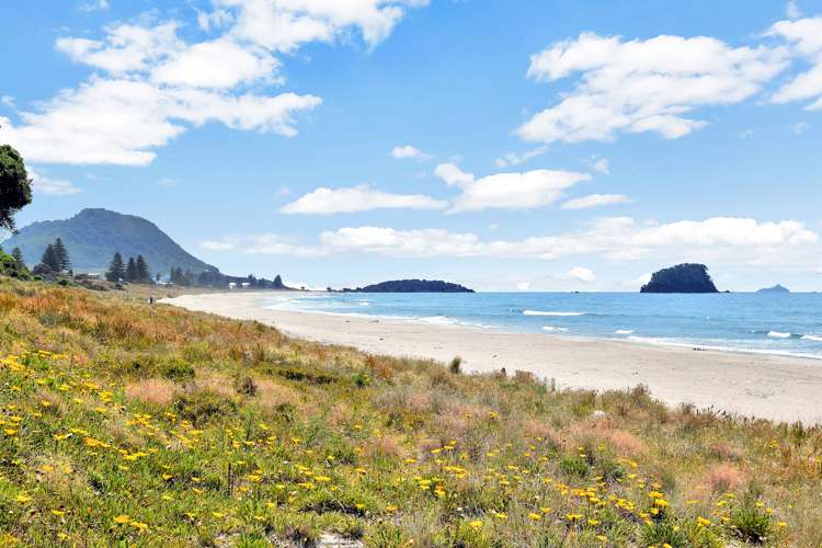 6 Kippen Way Mount Maunganui_20