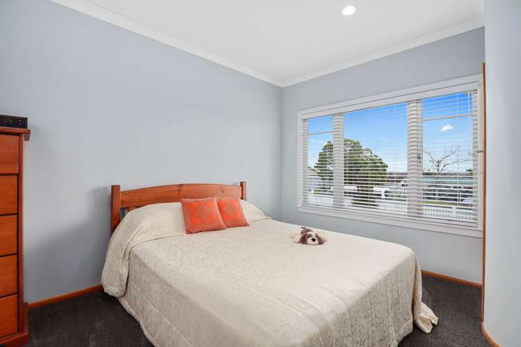 22 Koromiko Street Te Aroha_11