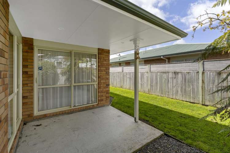 24B Reeve Street Levin_13