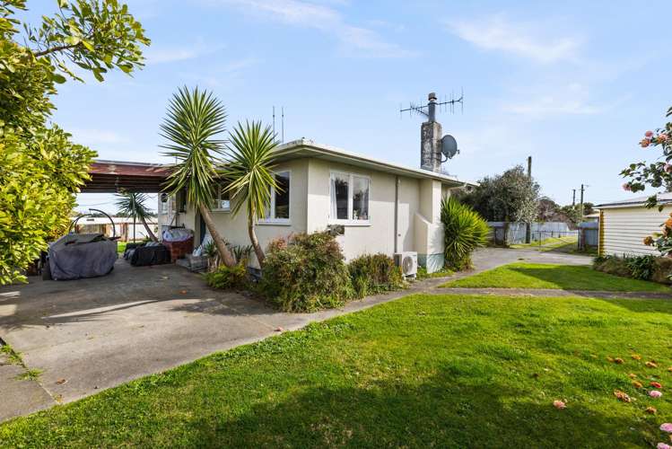 103a Masefield Avenue Maraenui_10