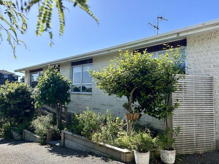 262A Rosetta Road Raumati Beach_13