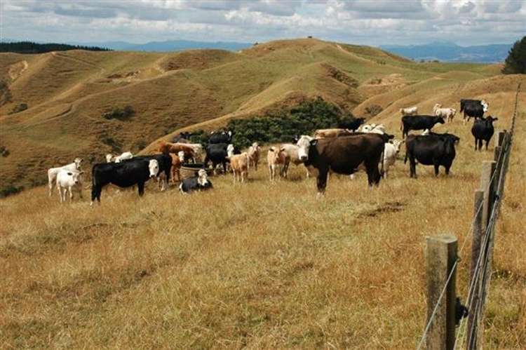 Waiti Road Tahuna_30