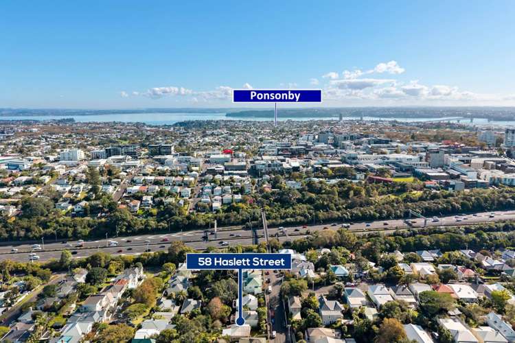 58 Haslett Street Eden Terrace_19