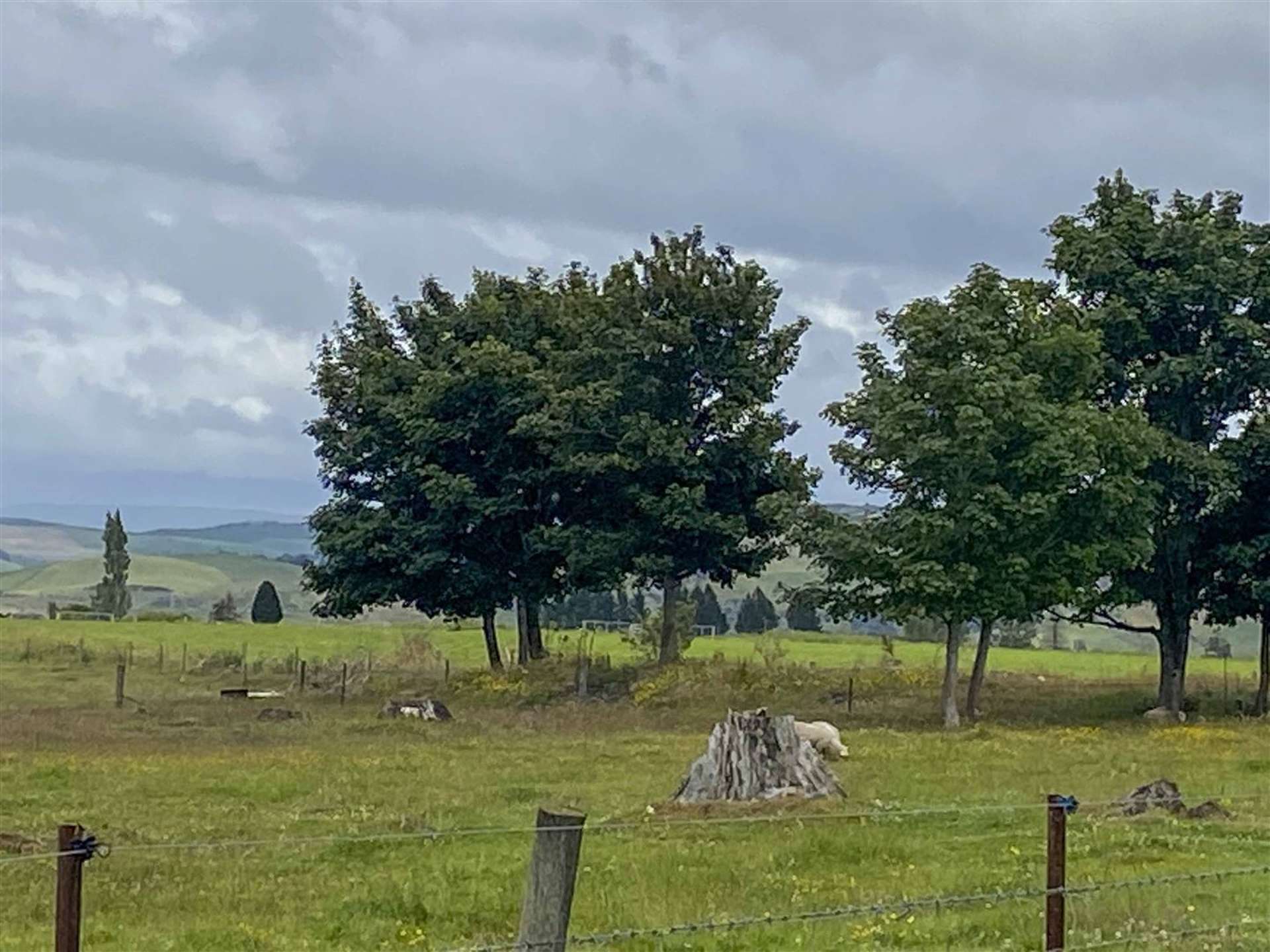 15 York Street Ohai_0