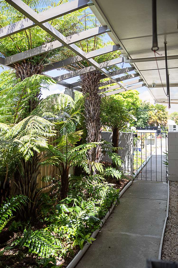 83 Wither Road Witherlea_31