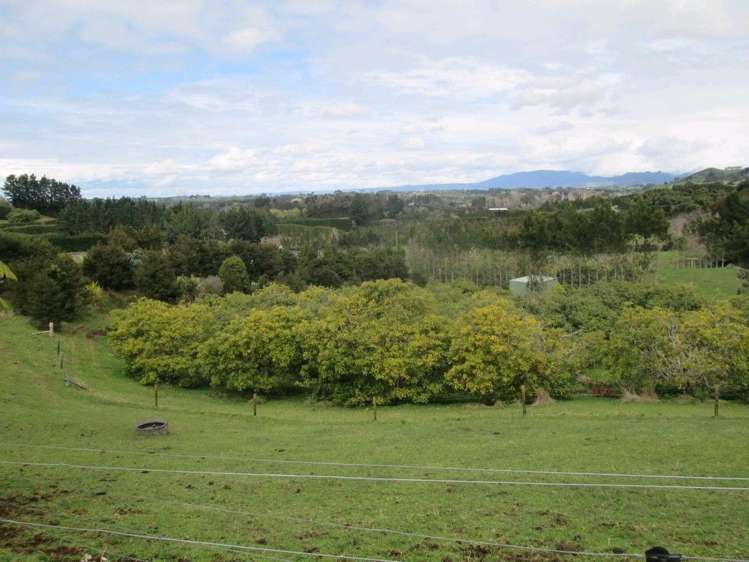 52 Wolseley Road Hauraki Surrounds_34