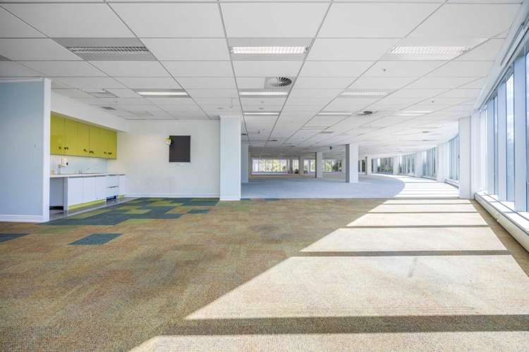 27 Napier Street Freemans Bay_15