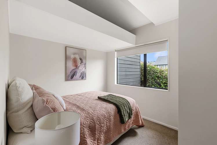 239A Hillsborough Road Hillsborough_20