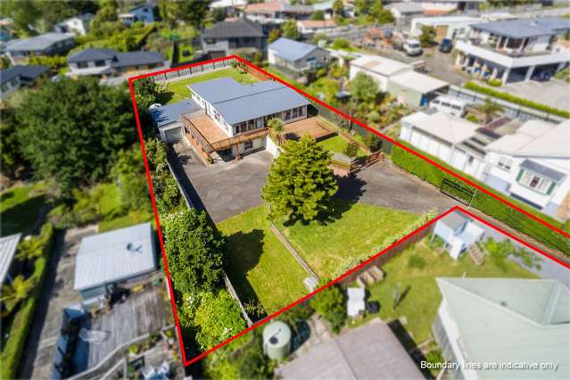 64 Glengarry Road Glen Eden_1