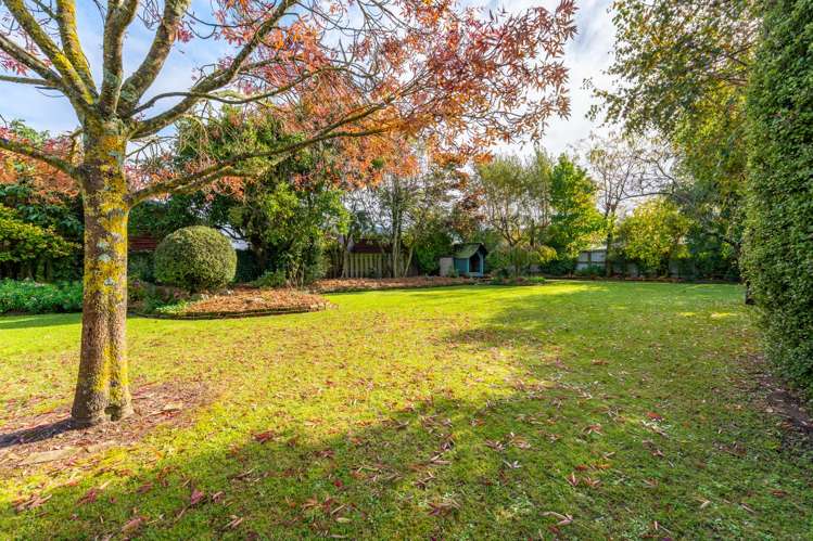 11 Horton Street Pleasant Point_14