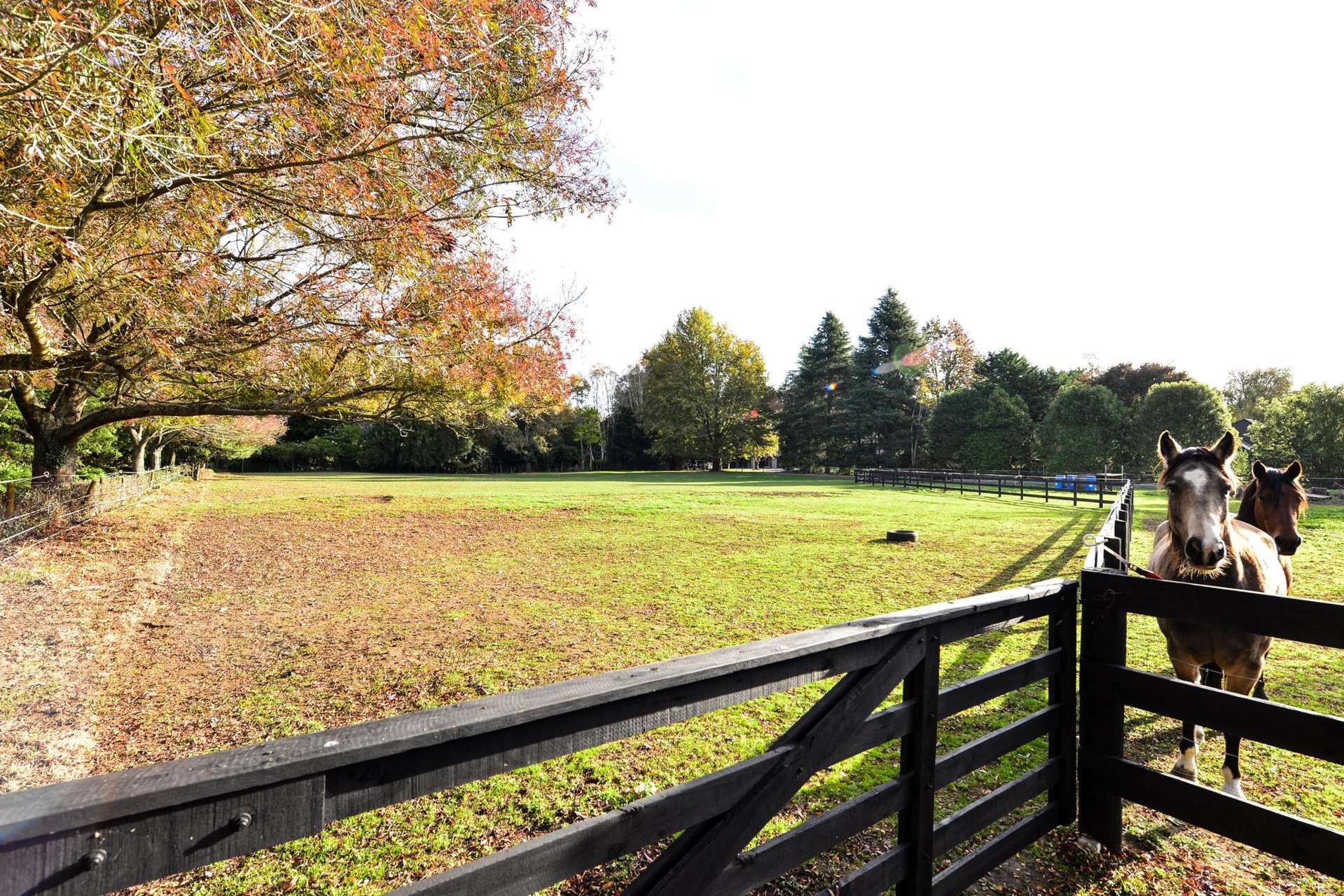 85a Windmill Road Tamahere_0