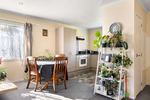 23 Mill Road Te Hapara_3