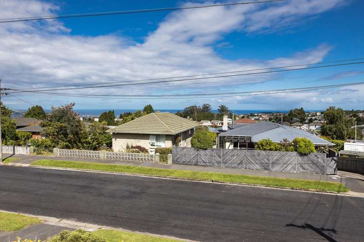 20 Turner Street Halfway Bush_17