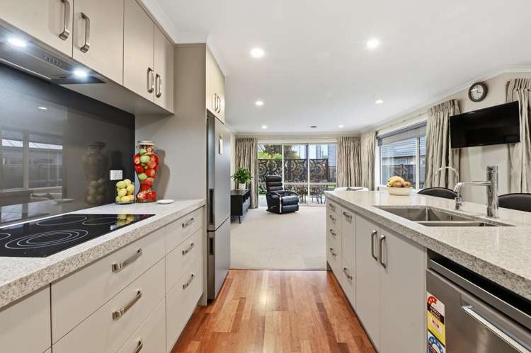 5 Springfield Road Springfield_10