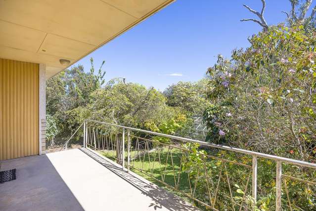 12 Mckerrow Street Shiel Hill_2