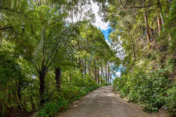 754 Kenepuru Road Mahau Sound_42