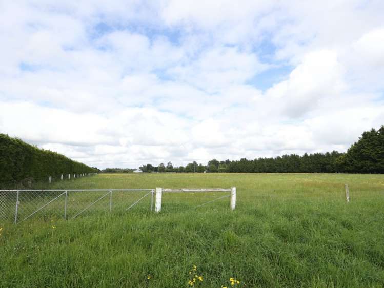 86 Carters Terrace Tinwald_12