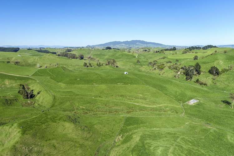 189 Pahihi Road Hauraki Surrounds_14