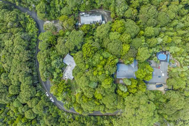 82 Mountain Road Henderson Valley_2