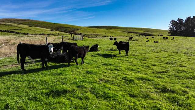 219 Dunrobin Valley Road Dunrobin_1