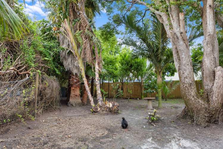 14 Mcleod Road Henderson_18